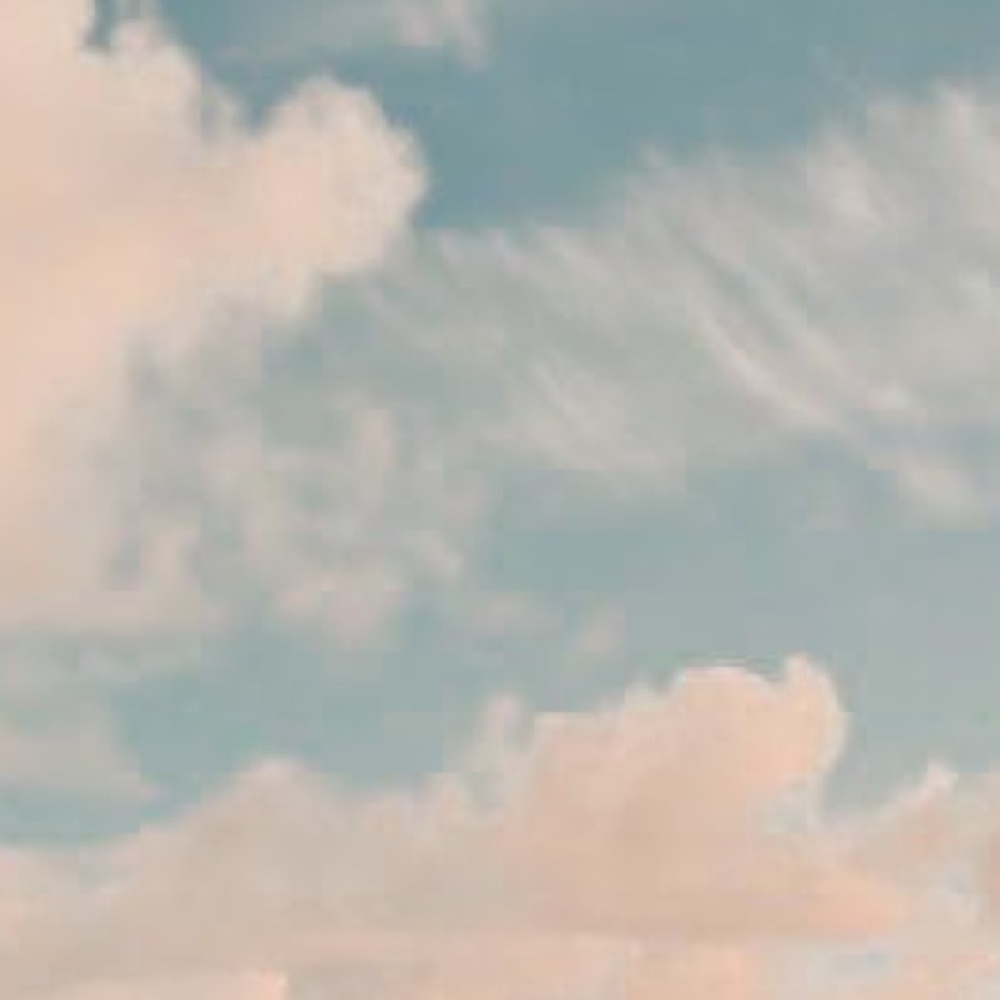 Meet your Posher, Piper